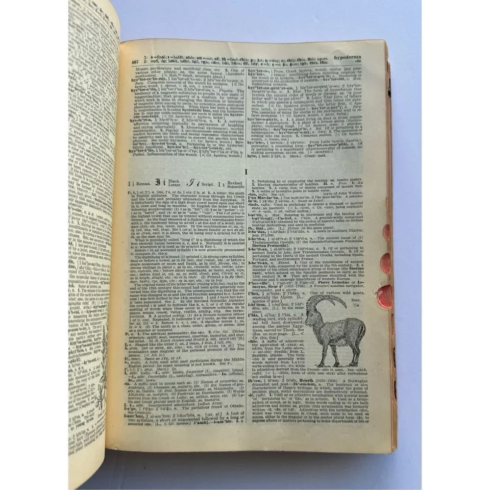 1926 Vintage‎ Antique XLTabbed & Illustrated Funk Wagnalls Dictionary Book